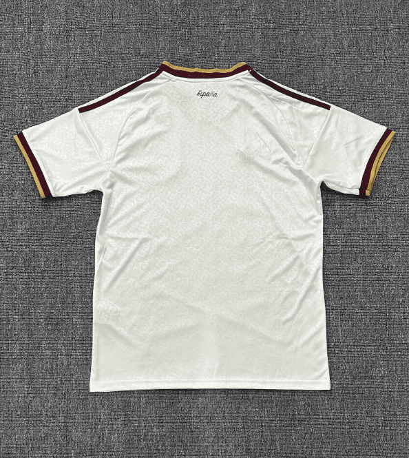 Spain Away World Cup Jersey (2 Stars) back view