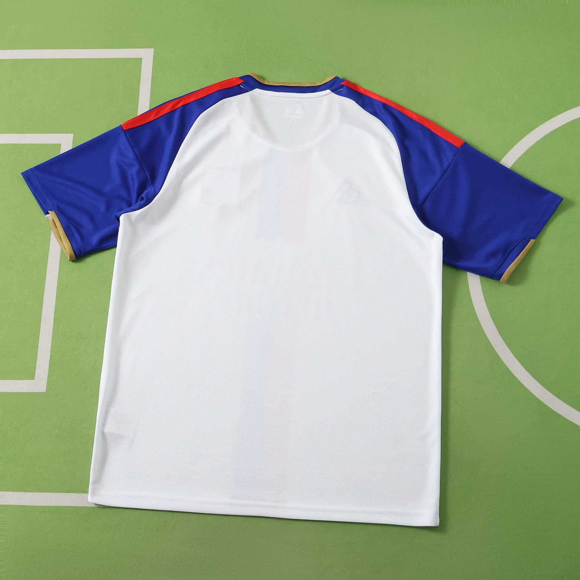 Lyon Home Jersey 26/27 back view