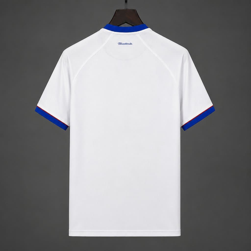 Cardiff City Away Kit 26/27 back view