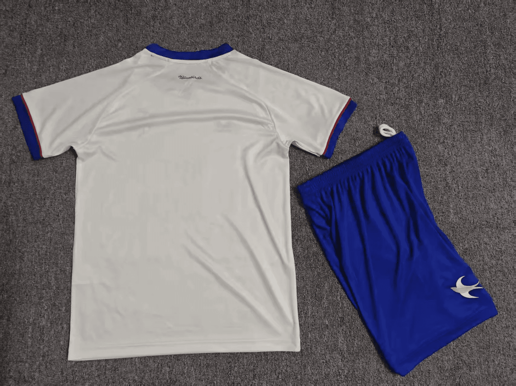 Cardiff City Away Kids Kit 26/27 back view