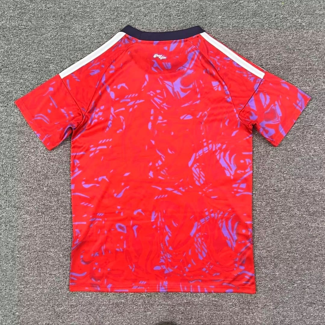 Costa Rica Men's Jersey (Home) back view