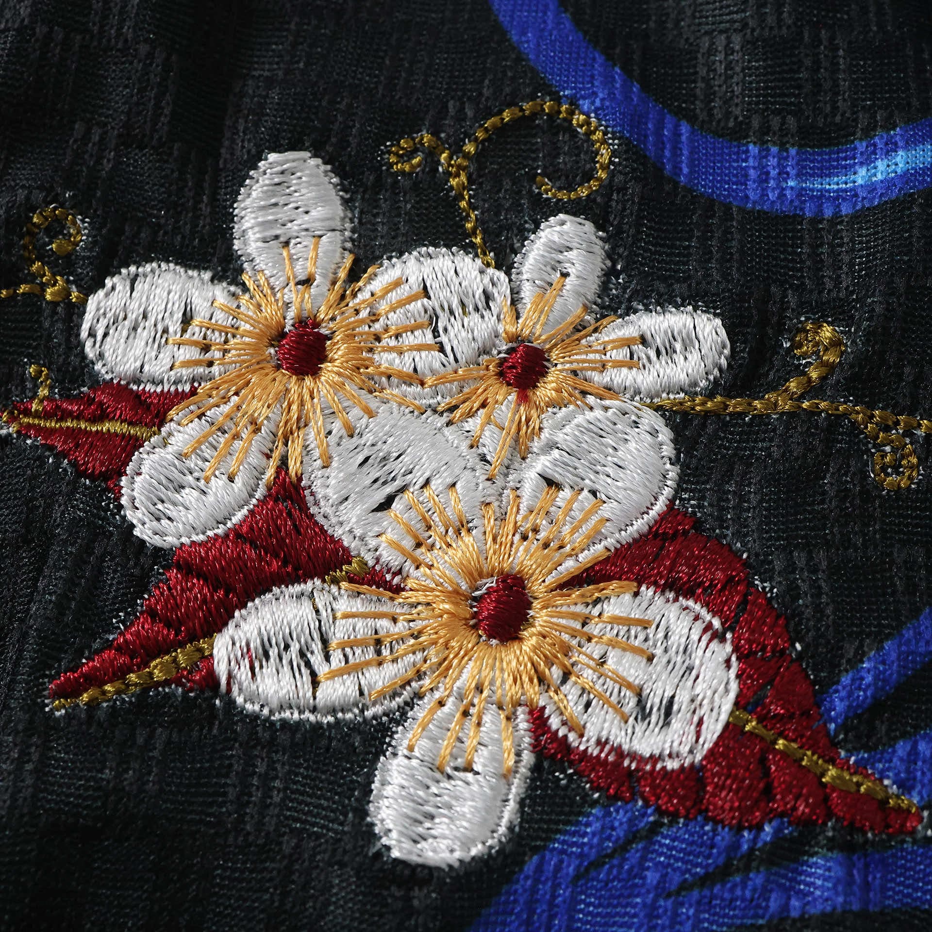 Argentina Embroidered Jersey — Player detail view