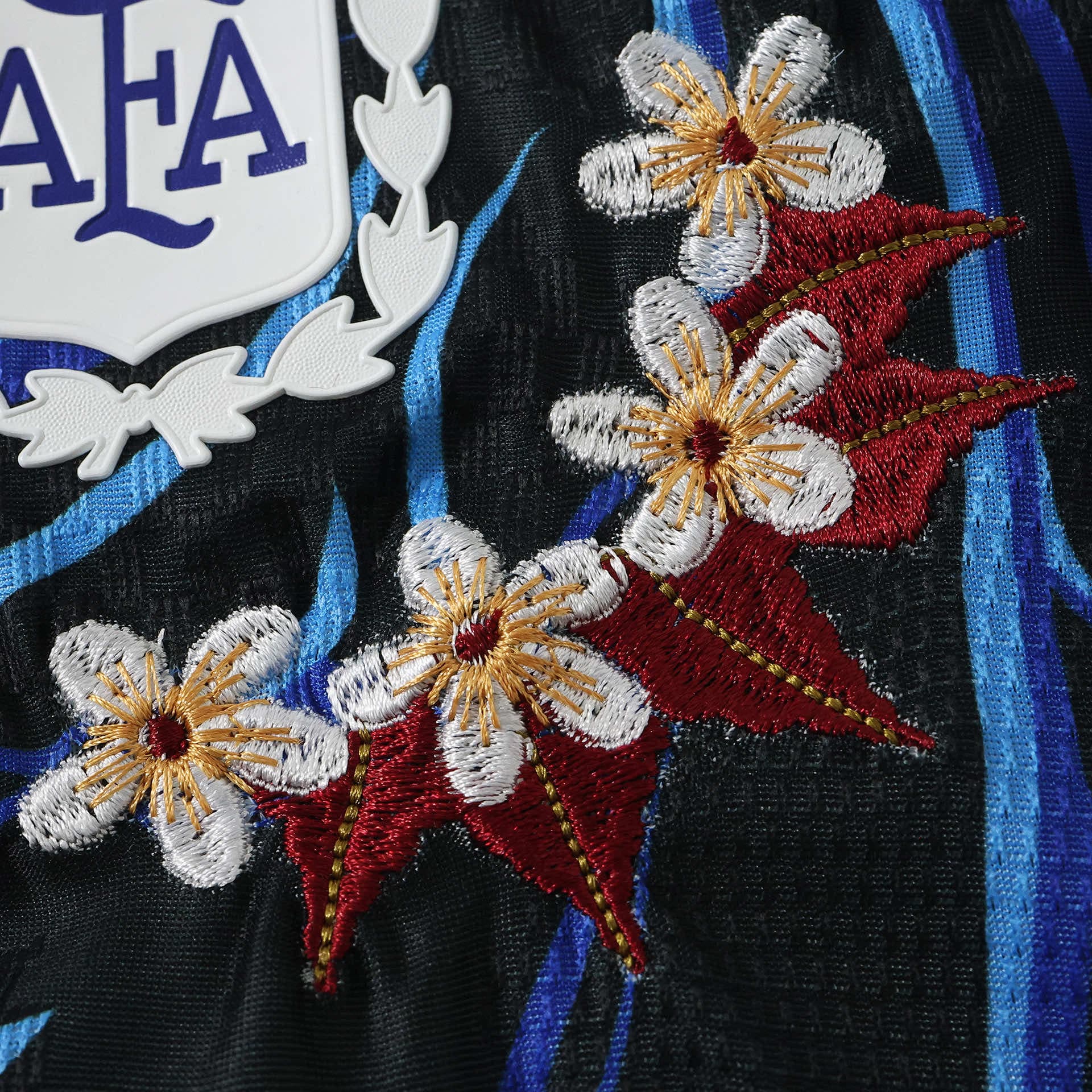 Argentina Embroidered Jersey — Player detail view