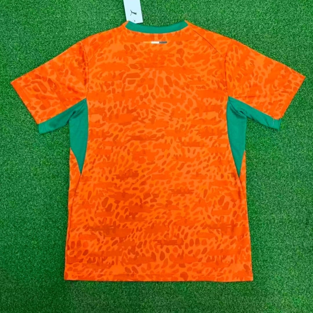 Ivory Coast Men's Jersey (Home) 2026 back view