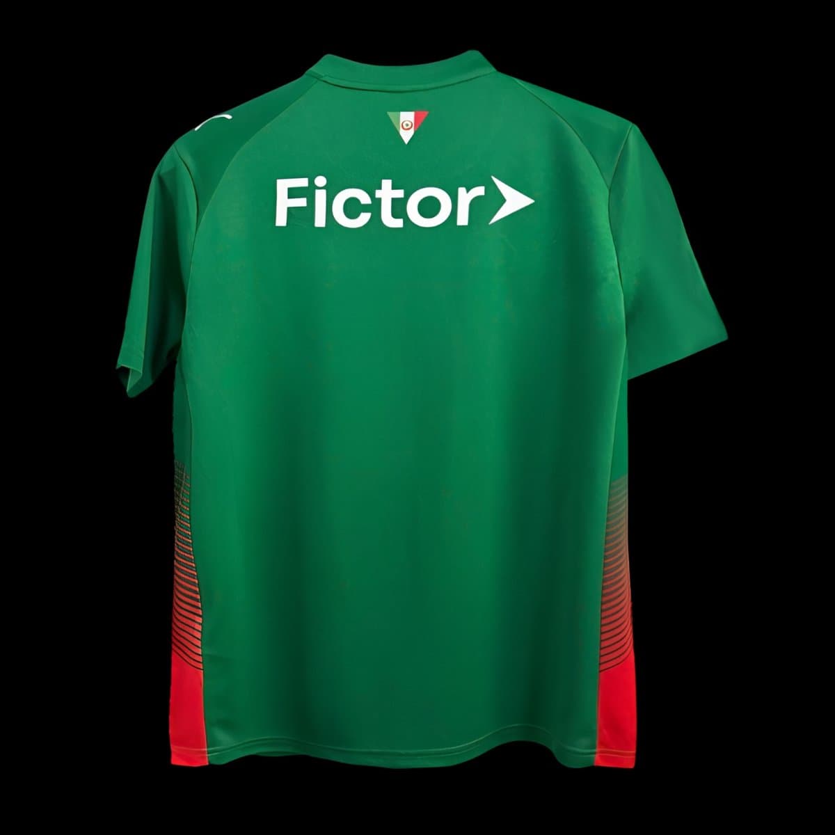 Palmeiras Men's Jersey (Home) 26/27 back view