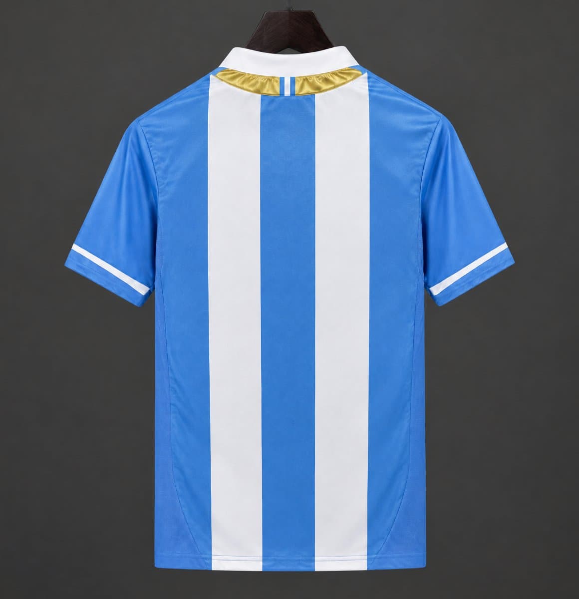 Argentina 2010/11 Home Retro Jersey back view