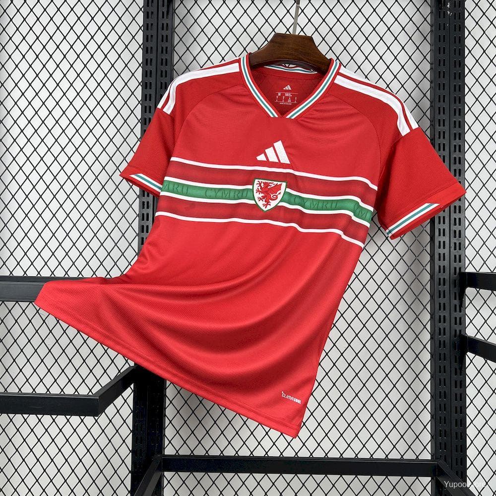 Wales Men's Jersey (Home) front view